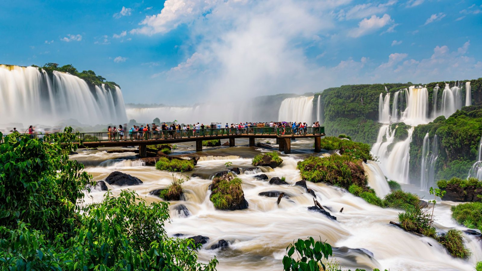 Design sem nome (15)